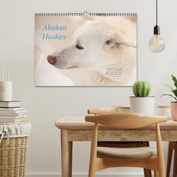 Produktbild: Alaskan Huskies (Wandkalender 2026 DIN A3 quer), CALVENDO Monatskalender