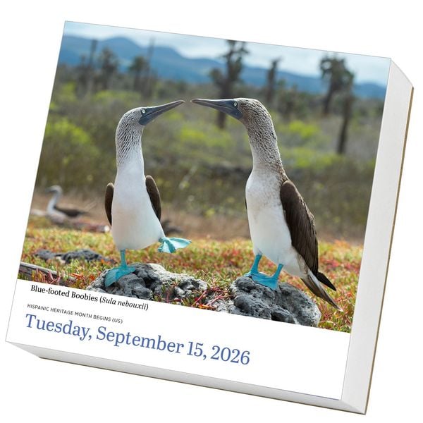 Produktbild: Audubon Birds Page-A-Day(r) Calendar 2026