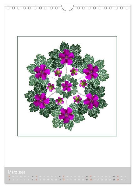Produktbild: Pflanzen - Mandalas aus Bl&uuml;ten und Bl&auml;ttern (Wandkalender 2026 DIN A4 hoch), CALVENDO Monatskalender