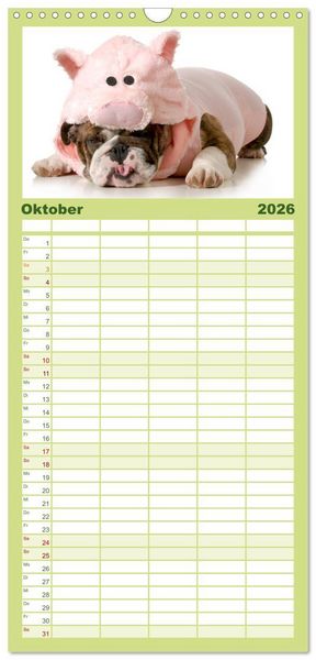 Produktbild: Familienplaner 2026 - English Bulldog XXL Models mit 5 Spalten (Wandkalender, 21 x 45 cm) CALVENDO