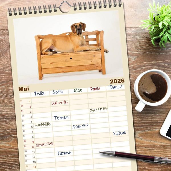 Produktbild: Familienplaner 2026 - Deutsche Doggen / Geburtstagskalender mit 5 Spalten (Wandkalender, 21 x 45 cm) CALVENDO