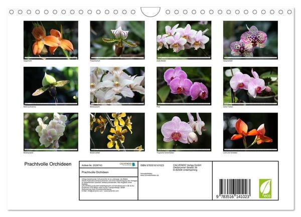 Produktbild: Prachtvolle Orchideen (Wandkalender 2026 DIN A4 quer), CALVENDO Monatskalender
