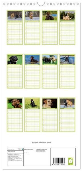 Produktbild: Familienplaner 2026 - Labrador Retriever 2026 mit 5 Spalten (Wandkalender, 21 x 45 cm) CALVENDO