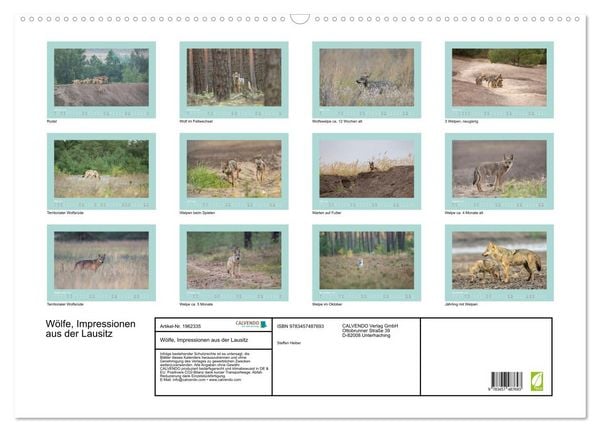 Produktbild: W&ouml;lfe, Impressionen aus der Lausitz (Wandkalender 2026 DIN A2 quer), CALVENDO Monatskalender