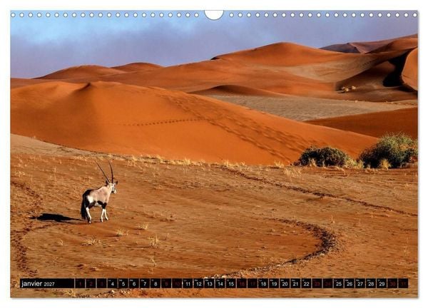Produktbild: Namibie Rouge et Or (Calendrier mural 2027 DIN A3 vertical), CALVENDO calendrier mensuel