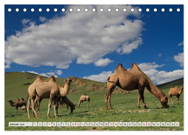 Produktbild: Mongolei Endlose Weite (Tischkalender 2026 DIN A5 quer), CALVENDO Monatskalender
