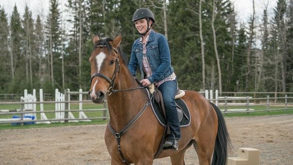 Produktbild: Heartland - Paradies f&uuml;r Pferde, Staffel 11 (Neuauflage) [6 DVDs]
