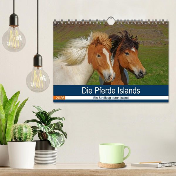 Produktbild: Die Pferde Islands - Ein Streifzug durch Island (Wandkalender 2026 DIN A4 quer), CALVENDO Monatskalender