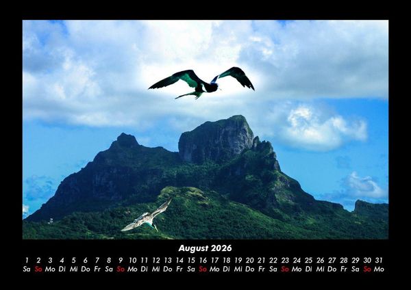 Produktbild: M&ouml;wen 2026 Fotokalender DIN A3