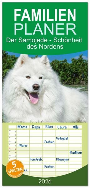 Produktbild: Familienplaner 2026 - Der Samojede - Sch&ouml;nheit des Nordens mit 5 Spalten (Wandkalender, 21 x 45 cm) CALVENDO