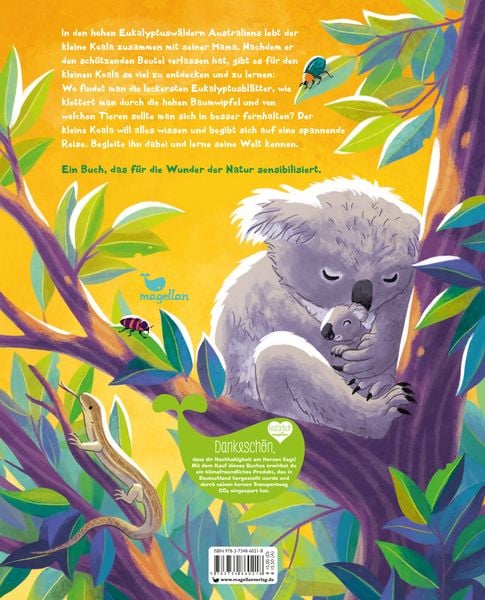 Produktbild: Der kleine Koala - Zu Hause im Eukalyptus