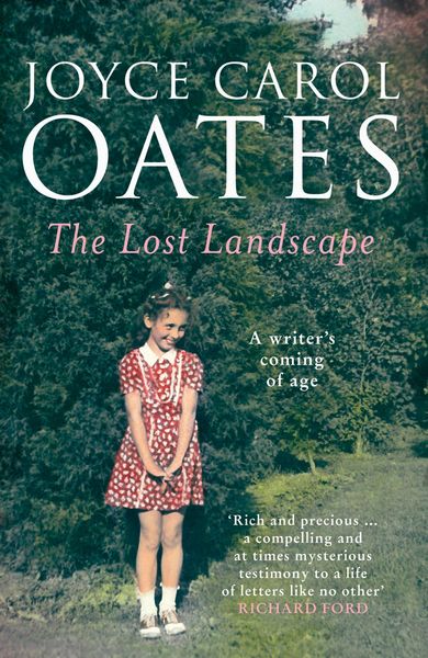 Produktbild: The Lost Landscape