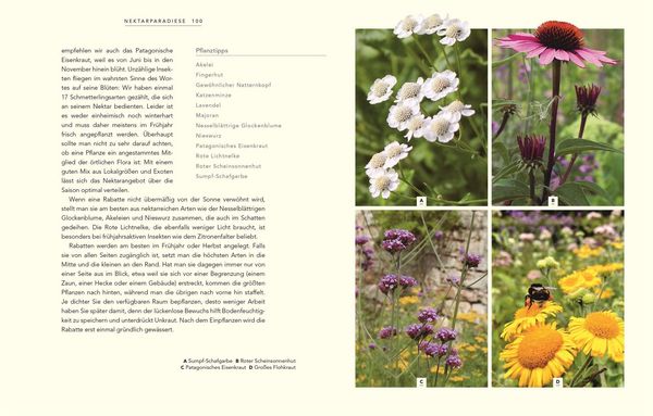 Produktbild: Wildnis im Garten
