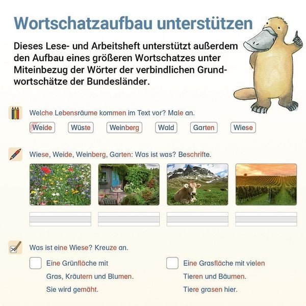 Produktbild: Lesen mit Rico Schnabel, Heft 8: Texte &ndash; silbierte Ausgabe