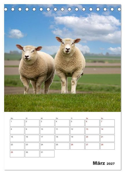 Produktbild: Sankt Peter-Ording Sonne, Strand und Meer (Tischkalender 2027 DIN A5 hoch), CALVENDO Monatskalender