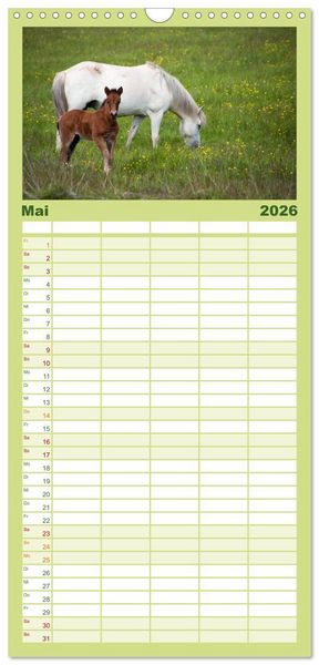 Produktbild: Familienplaner 2026 - Charakterk&ouml;pfe Islandpferde mit 5 Spalten (Wandkalender, 21 x 45 cm) CALVENDO
