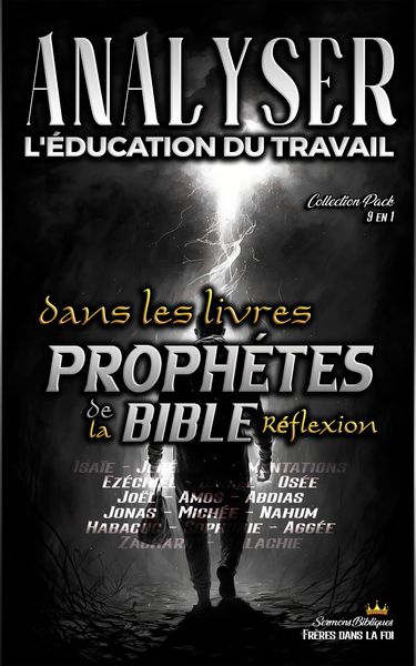 Produktbild: Analyser L'&eacute;ducation du Travail dans les Livres Proph&eacute;tiques de la Bible: R&eacute;flexion (L'&eacute;ducation au Travail dans la Bible)