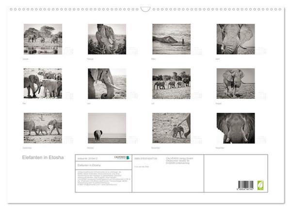 Produktbild: Elefanten in Etosha (Wandkalender 2026 DIN A2 quer), CALVENDO Monatskalender