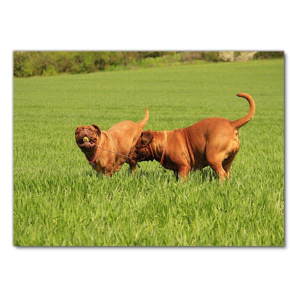 Produktbild: Lais Puzzle Bordeaux Dogge 1000 Teile