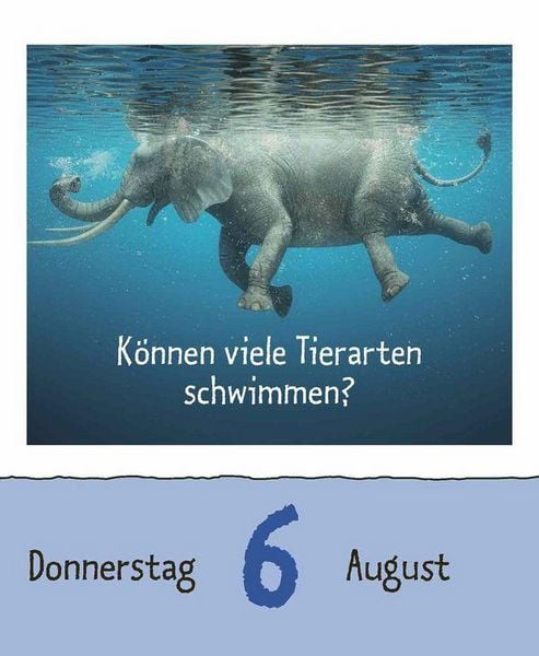 Produktbild: Wie faul ist das Faultier? 2026