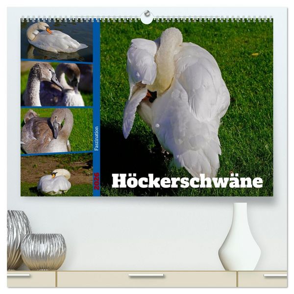 Faszination Höckerschwäne (hochwertiger Premium Wandkalender 2026 DIN A2 quer), Kunstdruck in Hochglanz