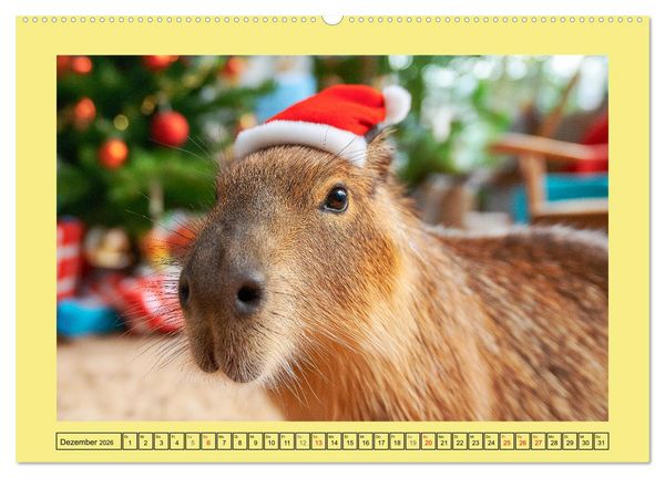 Produktbild: Capybaras on Tour. Wasserschweine als Weltenbummler (Wandkalender 2026 DIN A2 quer), CALVENDO Monatskalender