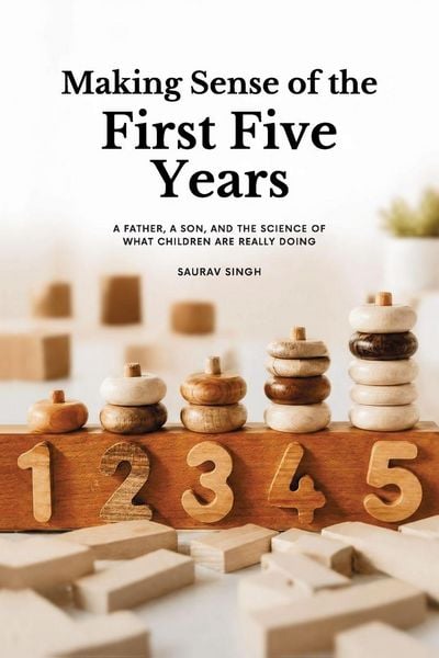 Produktbild: Making Sense of the First Five Years