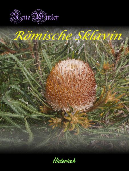 Produktbild: R&ouml;mische Sklavin
