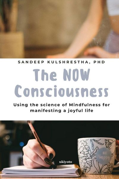 Produktbild: The NOW Consciousness | Using the Science of Mindfulness for Manifesting a Joyful Life