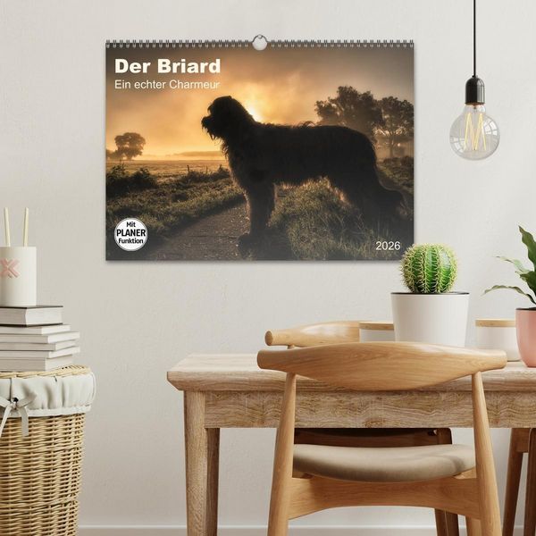 Produktbild: Der Briard 2026 - Ein echter Charmeur (Wandkalender 2026 DIN A3 quer), CALVENDO Monatskalender