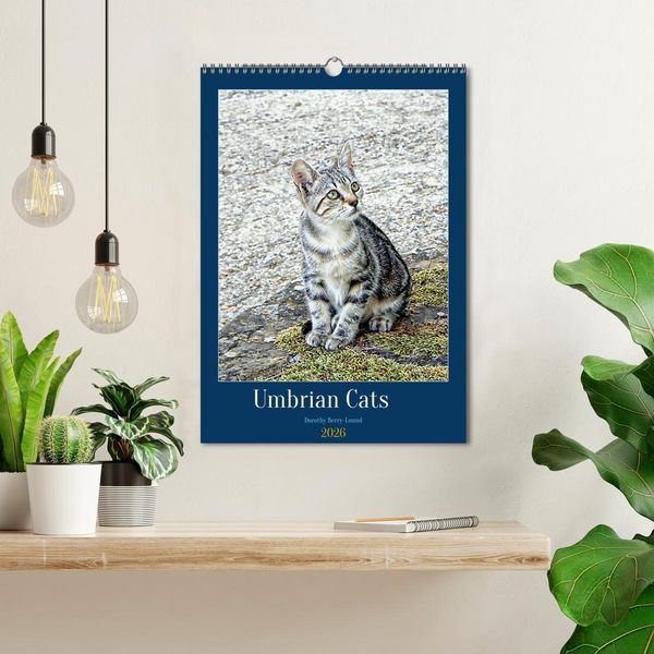 Produktbild: Umbrian Cats (Wall Calendar 2026 DIN A3 portrait), CALVENDO 12 Month Wall Calendar