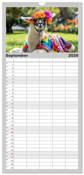 Produktbild: Familienplaner 2026 - Lamas auf Tour. Perus flauschige Fashion-Ikonen mit 5 Spalten (Wandkalender, 21 x 45 cm) CALVENDO