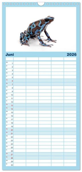 Produktbild: Familienplaner 2026 - Farbenpracht der Fr&ouml;sche mit 5 Spalten (Wandkalender, 21 x 45 cm) CALVENDO