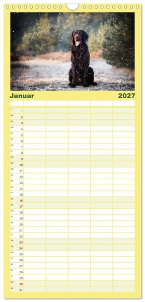 Produktbild: Familienplaner 2027 - Passion Jagdhund - Deutsch Langhaar mit 5 Spalten (Wandkalender, 21 x 45 cm) CALVENDO