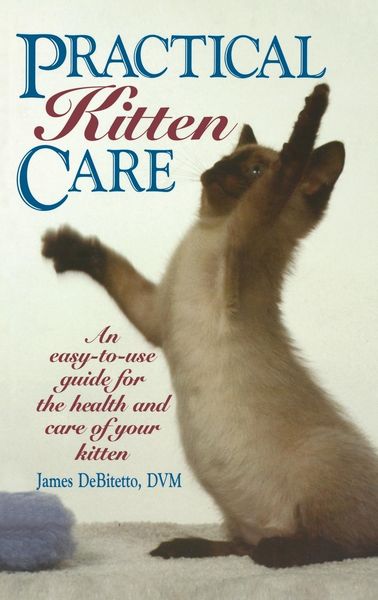 Produktbild: Practical Kitten Care