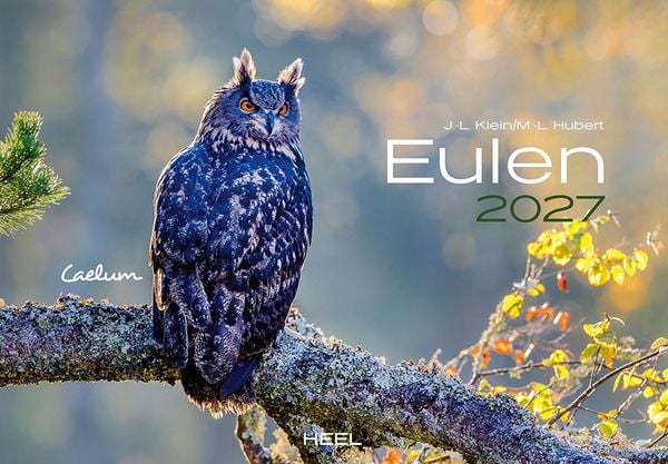 Eulen Kalender 2027