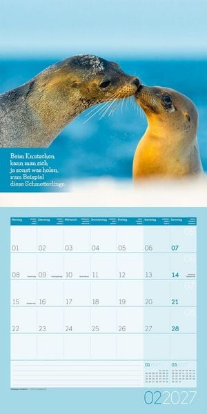 Produktbild: Keep Smiling Kalender 2027 - 30x30 - Art12
