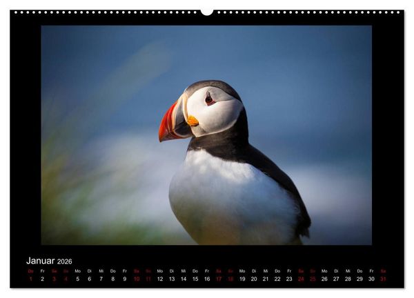 Produktbild: Island - Eine Reise in Bildern (hochwertiger Premium Wandkalender 2026 DIN A2 quer), Kunstdruck in Hochglanz