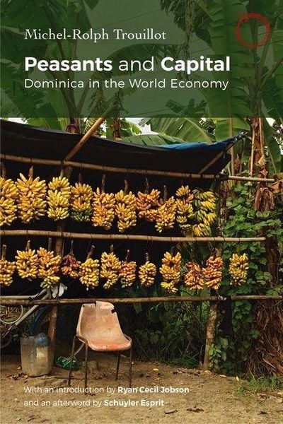 Produktbild: Peasants and Capital