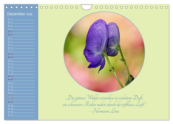 Produktbild: Flora in royalem Blau (Wandkalender 2026 DIN A4 quer), CALVENDO Monatskalender