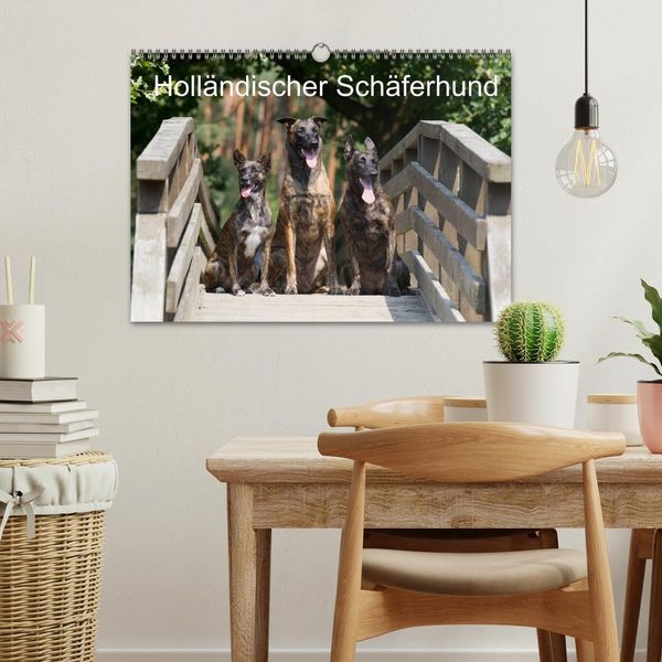 Produktbild: Holl&auml;ndischer Sch&auml;ferhund (Wandkalender 2026 DIN A3 quer), CALVENDO Monatskalender