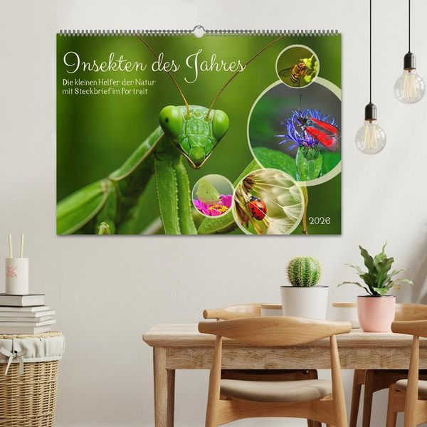Produktbild: Insekt des Jahres (Wandkalender 2026 DIN A2 quer), CALVENDO Monatskalender
