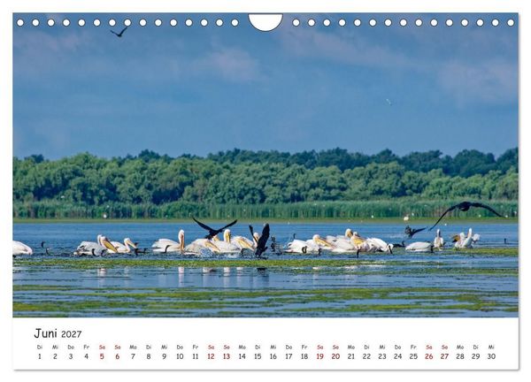 Produktbild: Donau-Delta (Wandkalender 2027 DIN A4 quer), CALVENDO Monatskalender