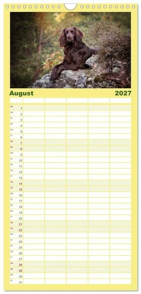 Produktbild: Familienplaner 2027 - Passion Jagdhund - Deutsch Langhaar mit 5 Spalten (Wandkalender, 21 x 45 cm) CALVENDO
