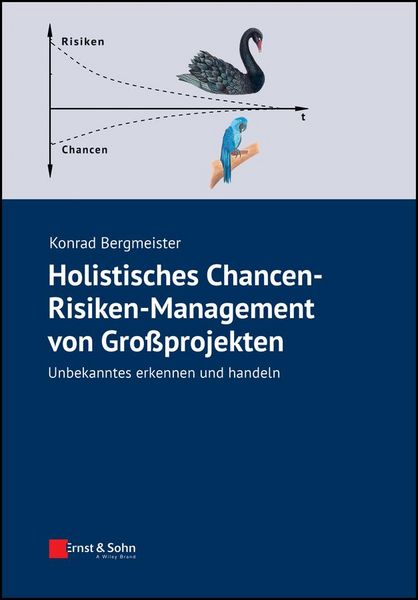 Produktbild: Holistisches Chancen-Risiken-Management von Grossprojekten