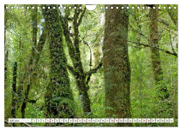Produktbild: Magie dieses S&uuml;damerikanischen Landes, Chile (Wandkalender 2026 DIN A4 quer), CALVENDO Monatskalender