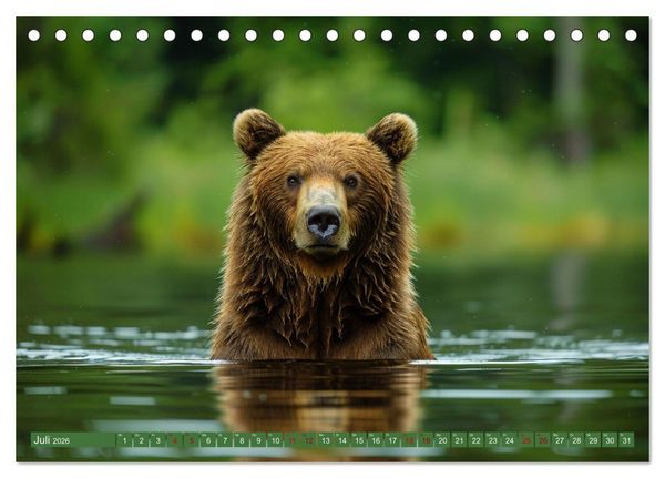 Produktbild: Wildes B&auml;renland (Tischkalender 2026 DIN A5 quer), CALVENDO Monatskalender