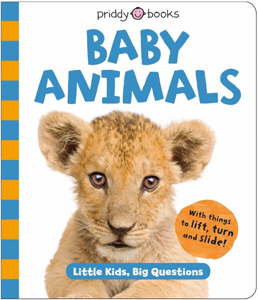 Produktbild: Baby Animals (Little Kids, Big Questions)