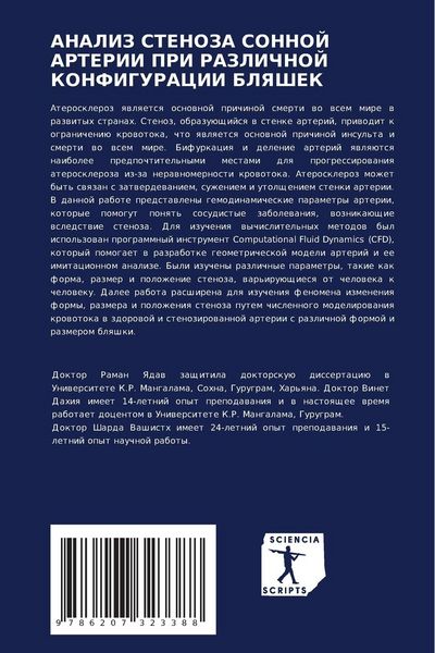 Produktbild: Analiz Stenoza Sonnoj Arterii Pri Razlichnoj Konfiguracii Blyashek