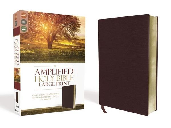 Produktbild: Amplified Holy Bible, Large Print, Bonded Leather, Burgundy